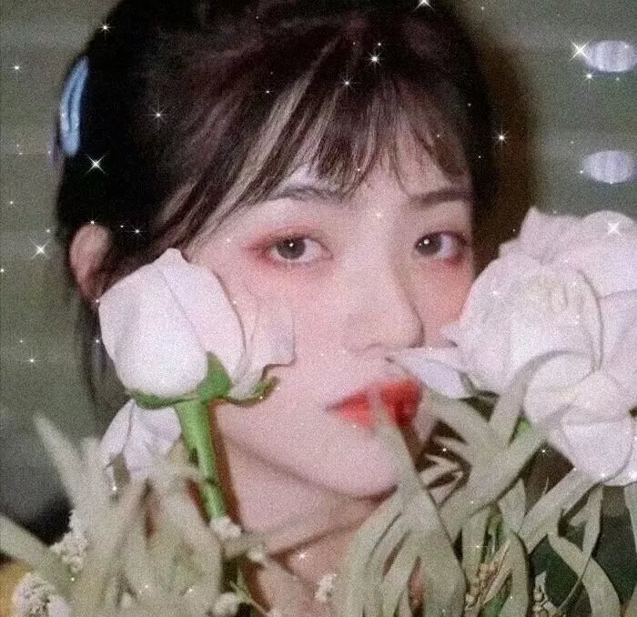 爱恋安迪·哈迪