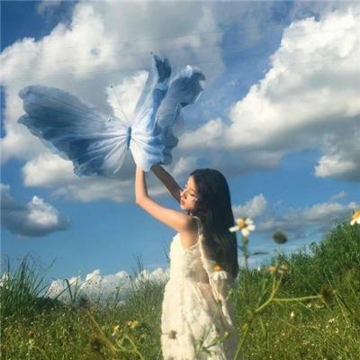 鲜血淋漓第五季